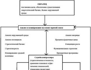 Контроллинг как современная концепция управления - реферат Анализ системы контроллинга в аппарате управления предприятия