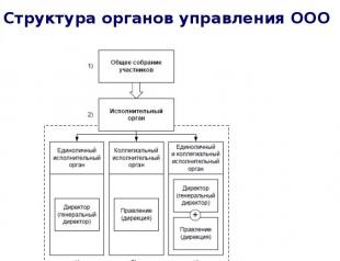 Структура и орган управления ооо