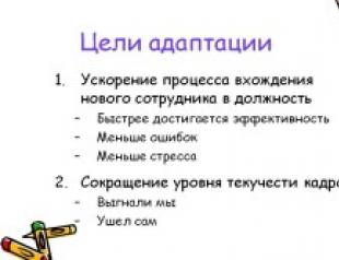 Виды адаптации персонала в организации